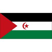 Bandera de República Árabe Saharaui Democrática